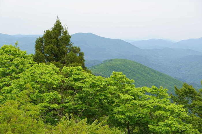 DSC03167-2.JPG
