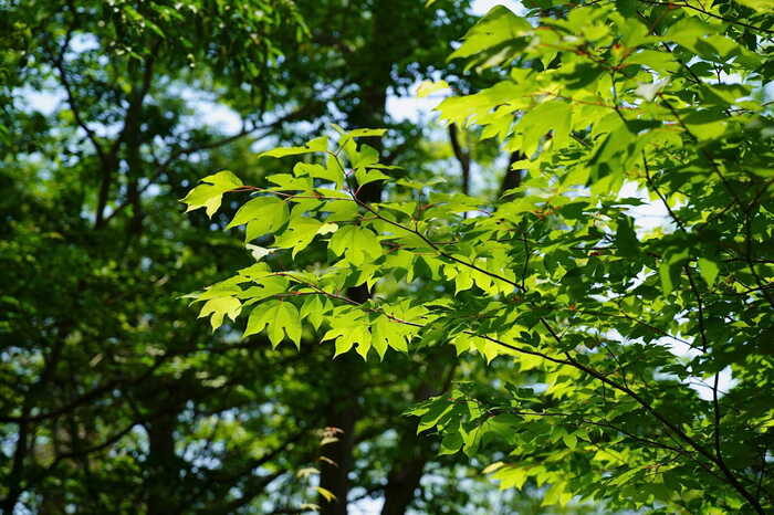 DSC03807-2.JPG