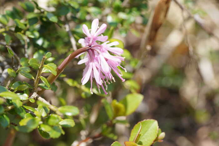 DSC05695-2.JPG