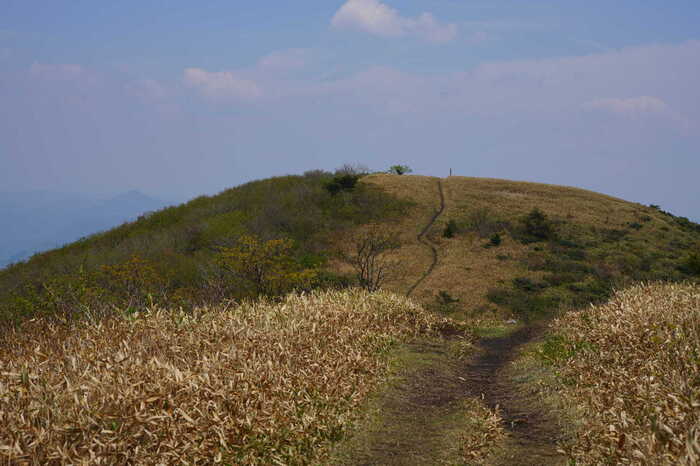 DSC05698-2.JPG