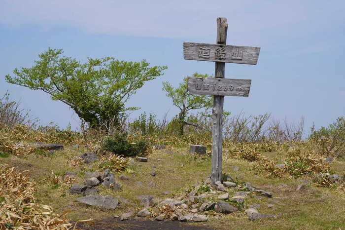 DSC05702-2.JPG